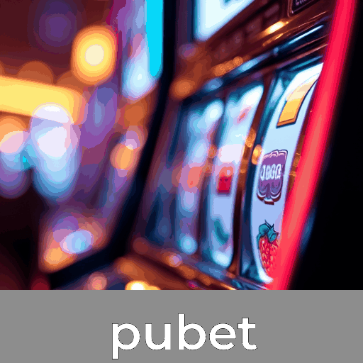 Aproveite o acesso seguro instantâneo no pubet