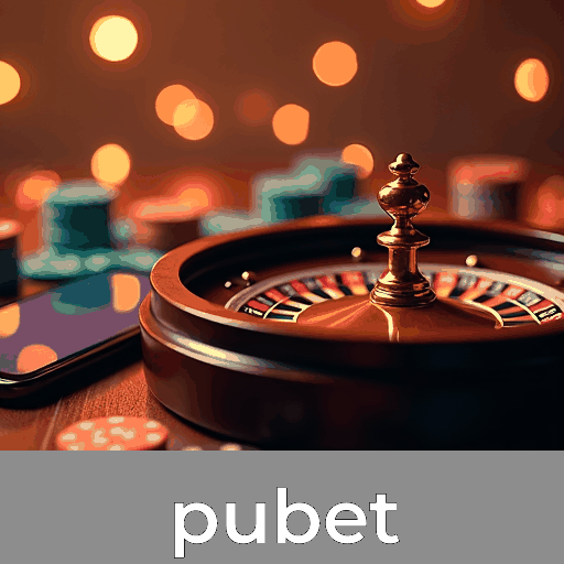 Aproveite o acesso seguro instantâneo no pubet